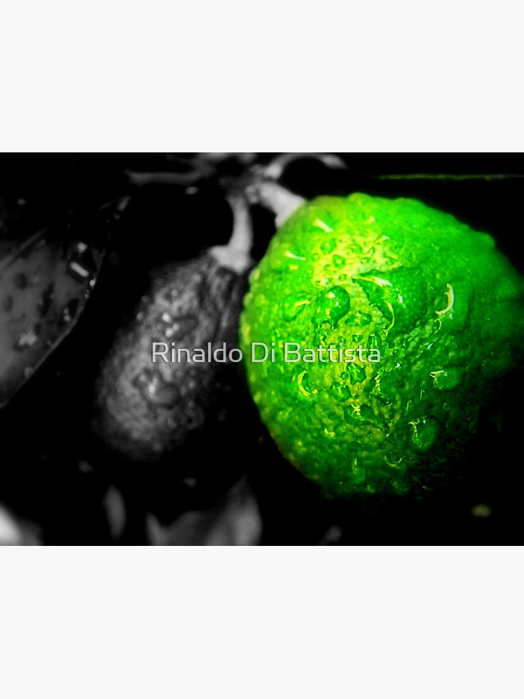 Thumbnail 3 of 3, Poster, Limes designed and sold by Rinaldo Di Battista.