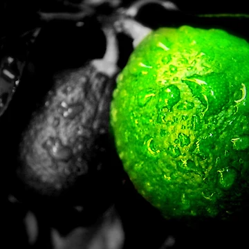 Artwork thumbnail, Limes by Rinaldo Di Battista