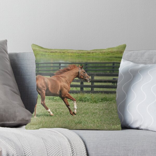 Item preview, Living the easy life!! (view large) designed and sold by Tracey  Dryka.