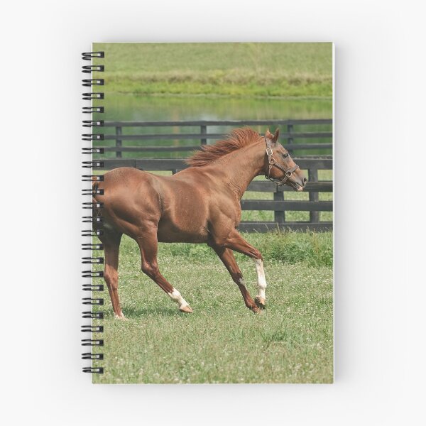 Item preview, Living the easy life!! (view large) designed and sold by Tracey  Dryka.