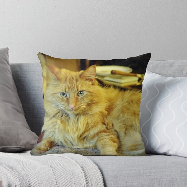Item preview, I'm not moving !! designed and sold by Karen E Camilleri.