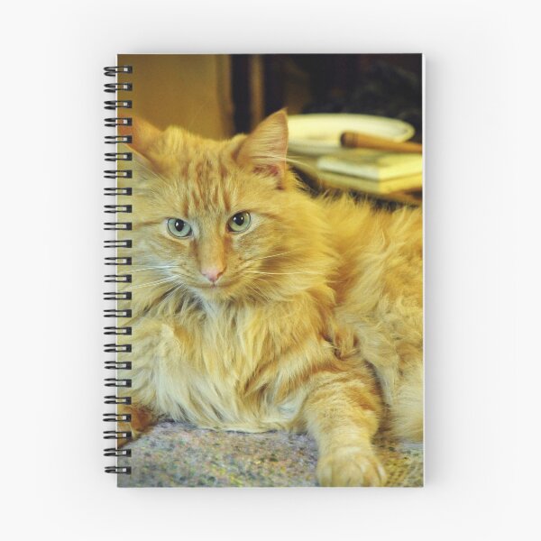 Item preview, I'm not moving !! designed and sold by Karen E Camilleri.