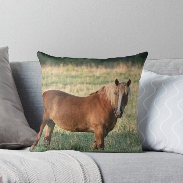 Item preview, Belgian designed and sold by Tracey  Dryka.