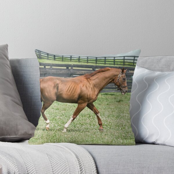 Item preview, One fine Man!!! (view large) designed and sold by Tracey  Dryka.