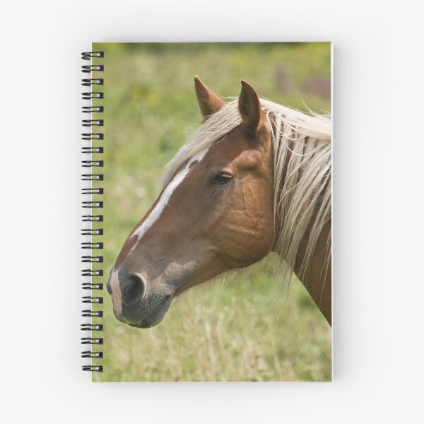Item preview, Belgian mare designed and sold by Tracey  Dryka.