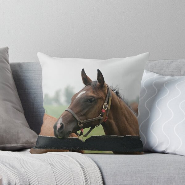 Item preview, Looking Pretty! designed and sold by Tracey  Dryka.