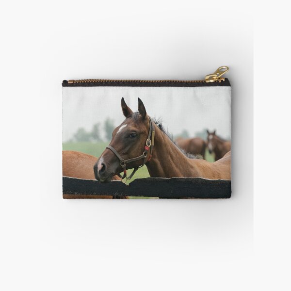 Item preview, Looking Pretty! designed and sold by Tracey  Dryka.