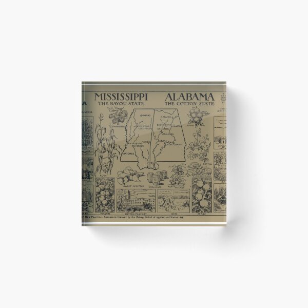 Item preview, Vintage Alabama and Mississippi Illustrative Map (1912) - Tan designed and sold by BravuraMedia.