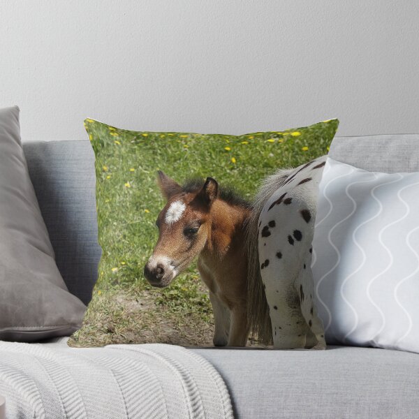Item preview, Too Shy! designed and sold by Tracey  Dryka.