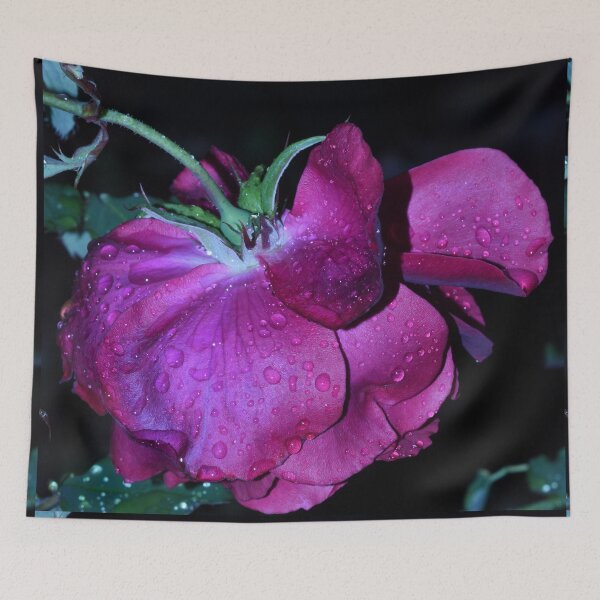 Item preview, Beauty of a rose in the rain - 'Blackboy' designed and sold by imaginethis.