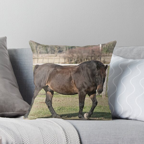 Item preview, Ringo - Silver Creek Ranch, Ottawa, Ont designed and sold by Tracey  Dryka.