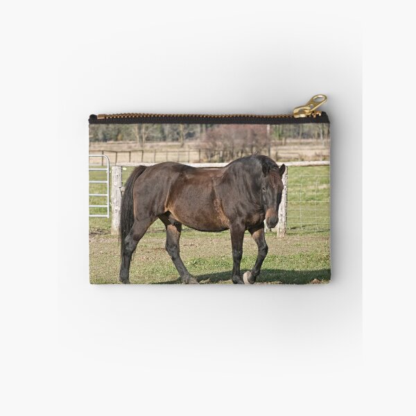 Item preview, Ringo - Silver Creek Ranch, Ottawa, Ont designed and sold by Tracey  Dryka.