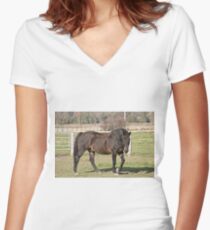 Ringo - Silver Creek Ranch, Ottawa, Ont Women's Fitted V-Neck T-Shirt