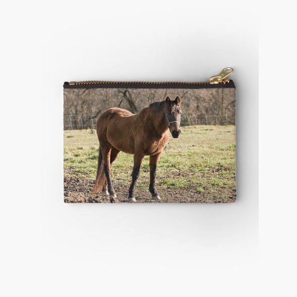 Item preview, One Fine Lady- Silver Creek Ranch, Ottawa, Ont designed and sold by Tracey  Dryka.