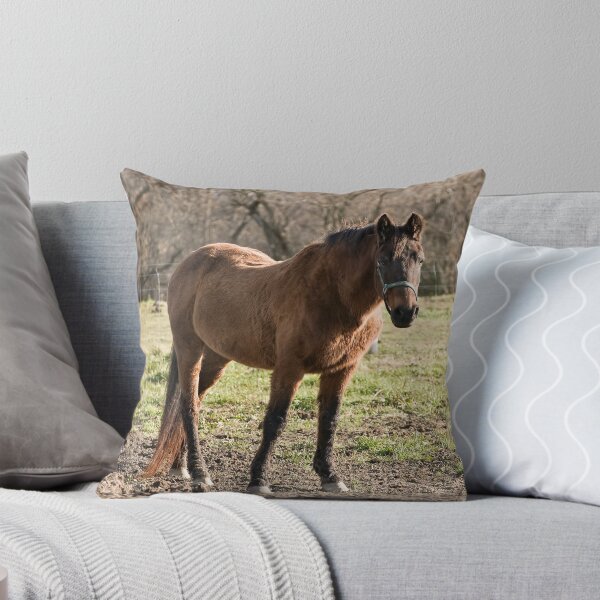 Item preview, One Fine Lady- Silver Creek Ranch, Ottawa, Ont designed and sold by Tracey  Dryka.