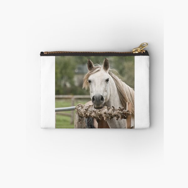 Item preview, Over here - Silver Creek Ranch, Ottawa, Ont designed and sold by Tracey  Dryka.