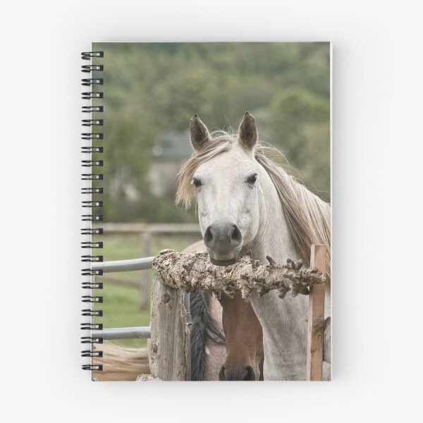 Item preview, Over here - Silver Creek Ranch, Ottawa, Ont designed and sold by Tracey  Dryka.