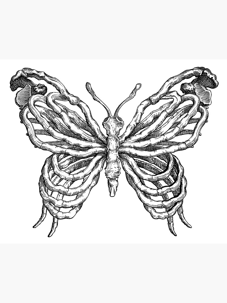 Sugri Butterfly Babushka バブーシュカ black Babushka