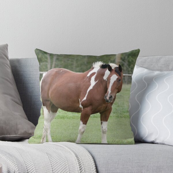 Item preview, Lucy - Silver Creek Ranch, Ottawa, On designed and sold by Tracey  Dryka.