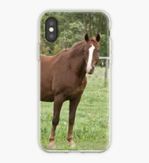 Donner - Silver Creek Ranch, Ottawa, Ont iPhone Case
