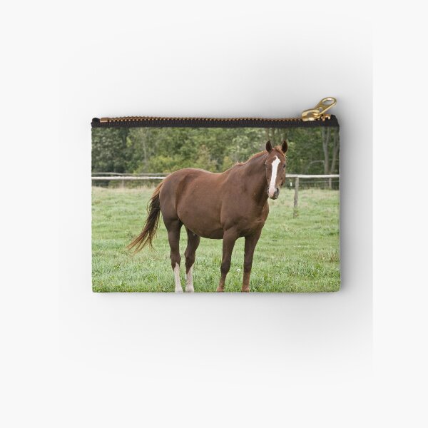 Item preview, Donner - Silver Creek Ranch, Ottawa, Ont designed and sold by Tracey  Dryka.