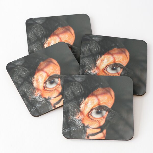 Item preview, GROUND HORNBILL: Lashes designed and sold by XCEEDTRANSITION.