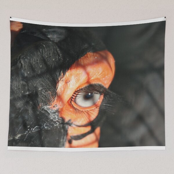 Item preview, GROUND HORNBILL: Lashes designed and sold by XCEEDTRANSITION.
