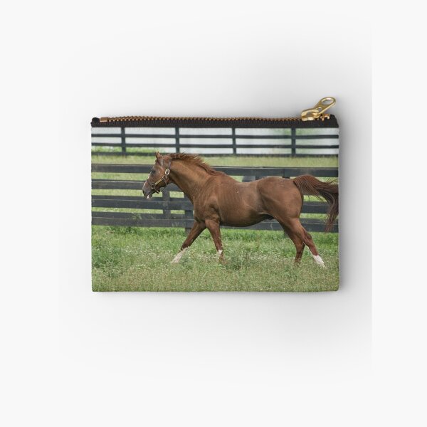 Item preview, Show Off!! designed and sold by Tracey  Dryka.