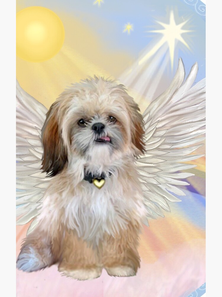 Shih Tzu Angel in Heavens Clouds by JeanBFitzgerald