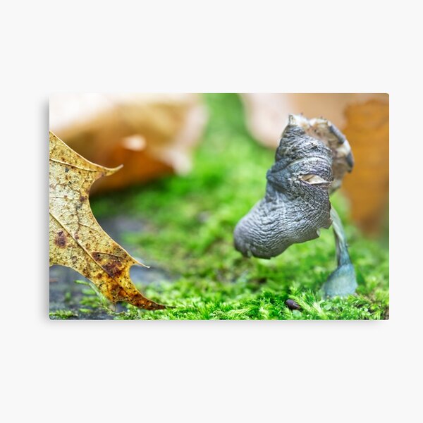 that's what friends are for Metal Print