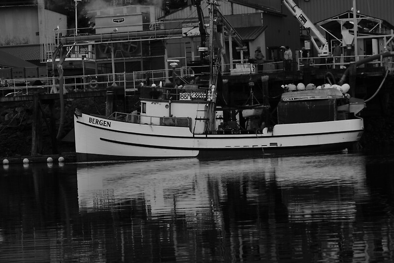 "old halibut schooner cordova Alaska" by davidroyfulton Redbubble