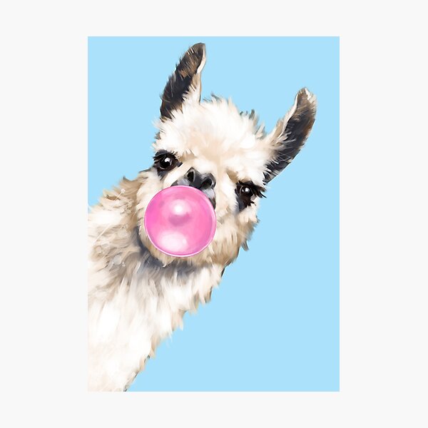 Bubble Gum Sneaky Llama in Blue Photographic Print