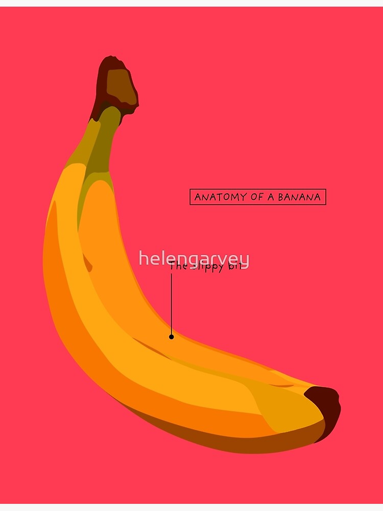 "Anatomy of a Banana" Poster by helengarvey | Redbubble