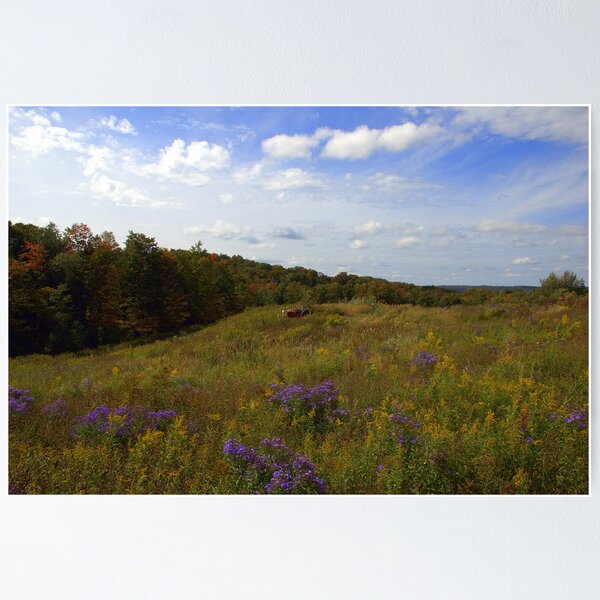 Item preview, Fields of Gold  designed and sold by Terri Stapleton.