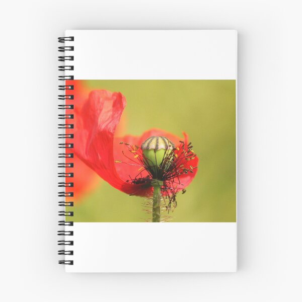 Artikelvorschau, Eine weitere Mohnblume entworfen und verkauft von Dave646.