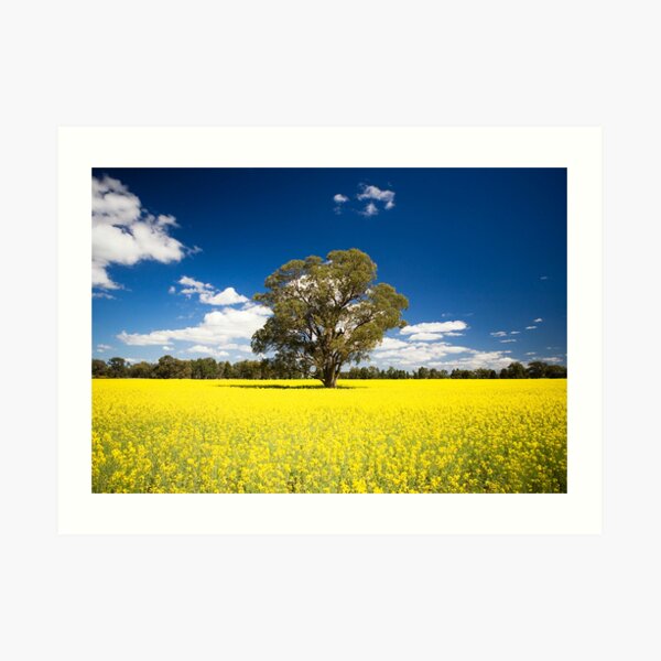 Art Print
