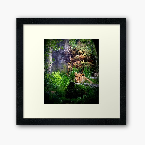 Low Profile Framed Art Print