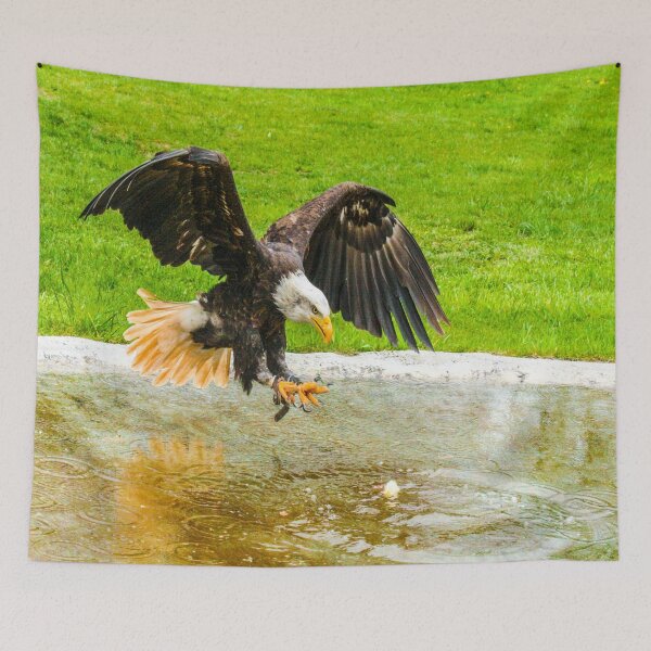 Item preview, fwc 1143 adler designed and sold by fred chiea.