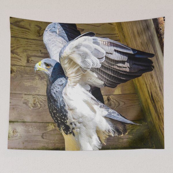 Item preview, fwc 1145 adler designed and sold by fred chiea.