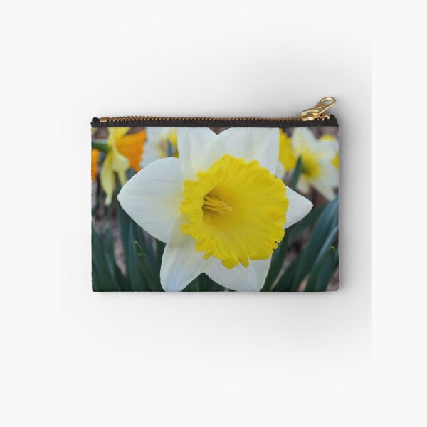 Item preview, Daffodil in the Garden designed and sold by Kathleen Brant.