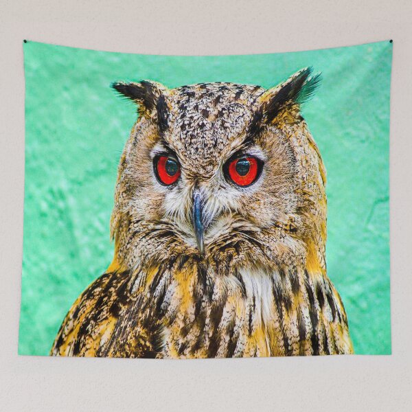 Item preview, fwc 1164 owl designed and sold by fred chiea.