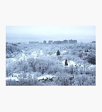 Narnia Photographic Print
