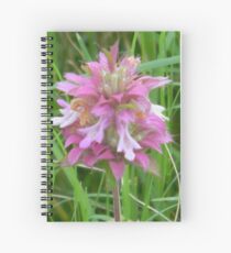Magical Little Bee Balm - View Larger Spiral Notebook