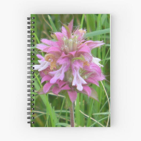 Item preview, Magical Little Bee Balm - View Larger designed and sold by Navigator.