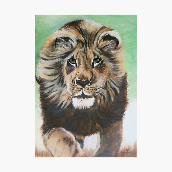 Lion running. Photographic Print