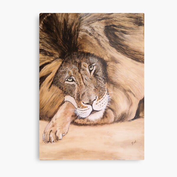 Lion relaxing. Metal Print
