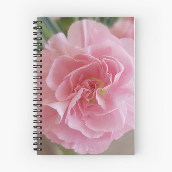 Item preview, Do you remember the Pink Carnation designed and sold by ellenhenry.