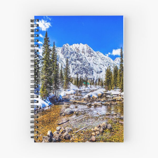 Item preview, fwc 1208 cold winter snow designed and sold by fred chiea.
