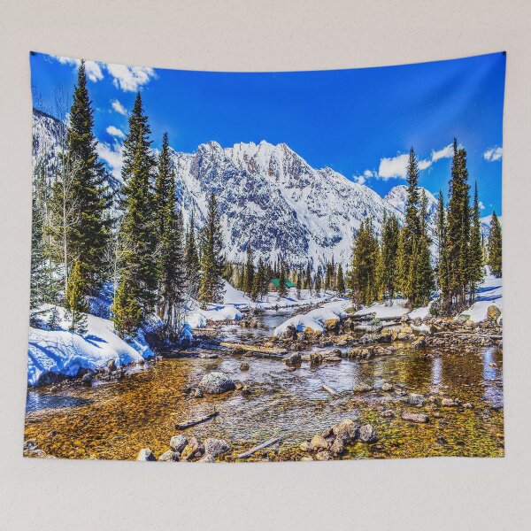 Item preview, fwc 1208 cold winter snow designed and sold by fred chiea.
