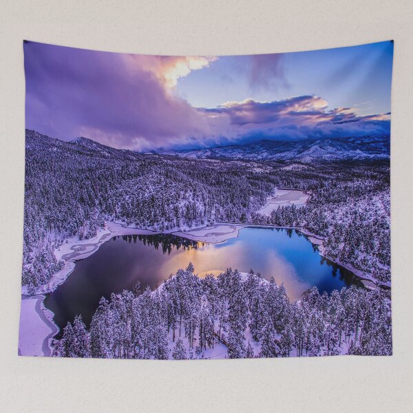 Item preview, fwc 1210 cold winter snow designed and sold by fred chiea.